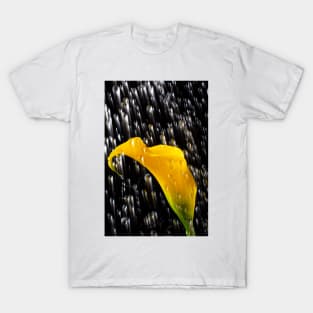 Raining On A Yellow Calla Lily T-Shirt